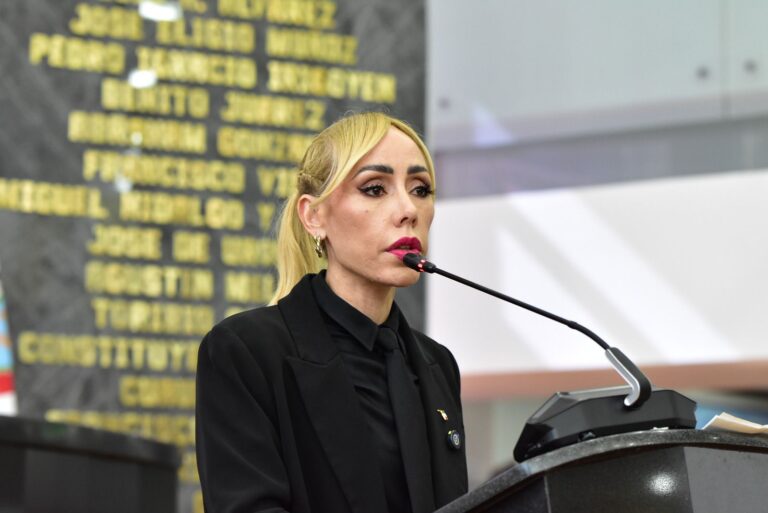 “Brenda Ríos exhibe la hipocresía del PAN en materia de seguridad’”