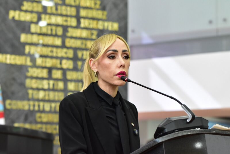 “Brenda Ríos exhibe la hipocresía del PAN en materia de seguridad’”