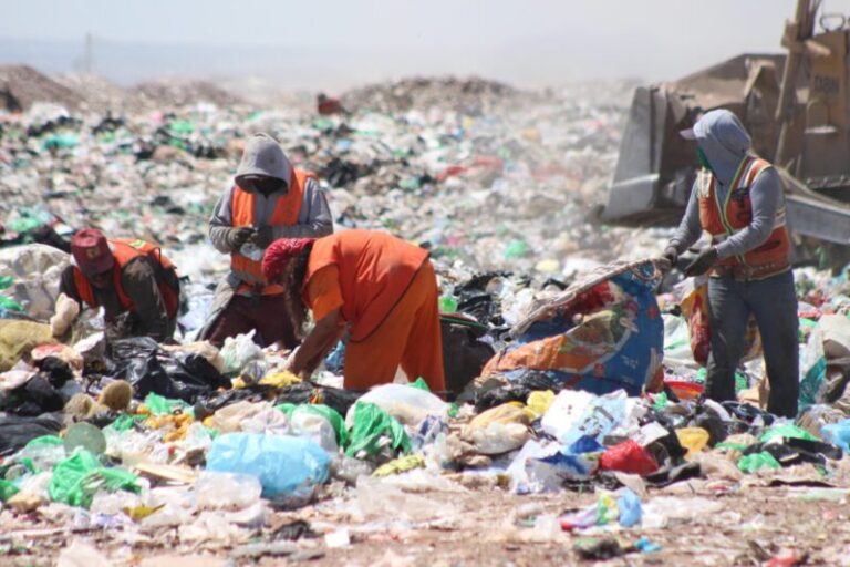 Bioplásticos, alternativa ante contaminación por plásticos
