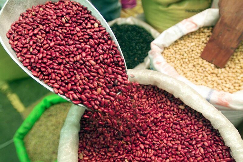 Gobierno de Parral mantiene programa de venta de frijol a precio preferencial