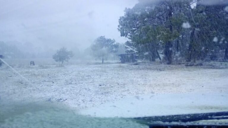Prevé Protección Civil ambiente muy frío, nieve y rachas de viento en Chihuahua