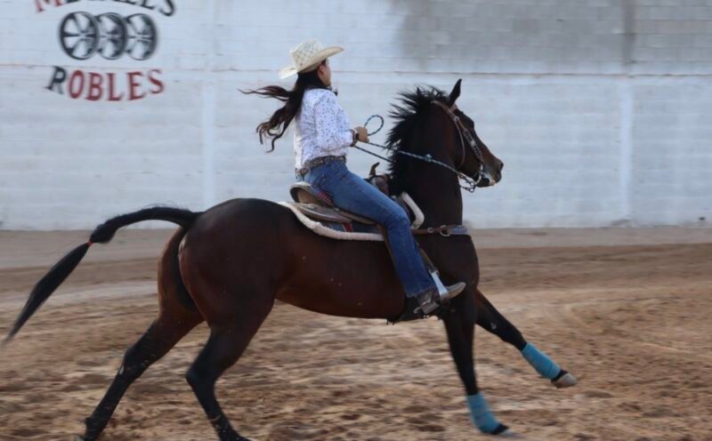 Todo listo para el Selectivo Juvenil Estatal de Rodeo Conade 2026