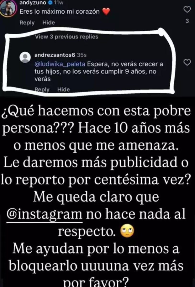 Captura de pantalla de Ludwika Paleta.