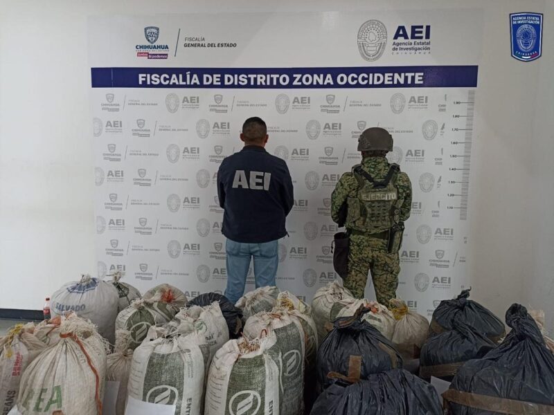 Localizan AEI y Sedena 200 kilogramos de mariguana en brecha de Urique