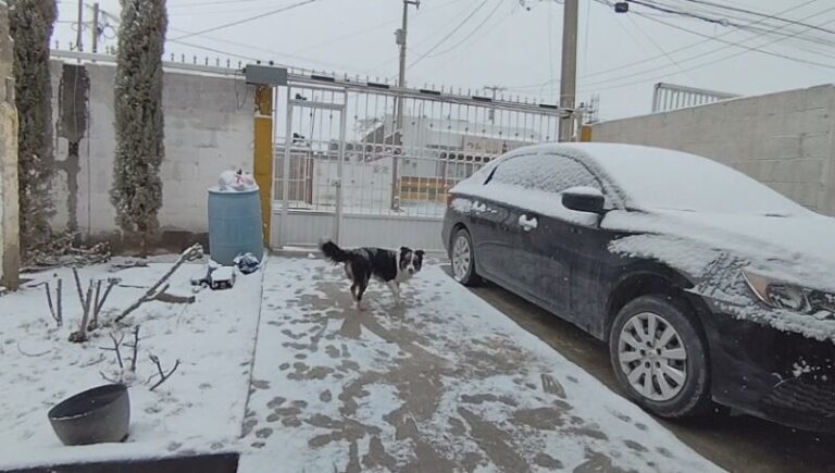 Prevén heladas matutinas y ambiente frío para este martes 27 en Chihuahua