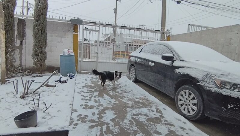 Prevén heladas matutinas y ambiente frío para este martes 27 en Chihuahua