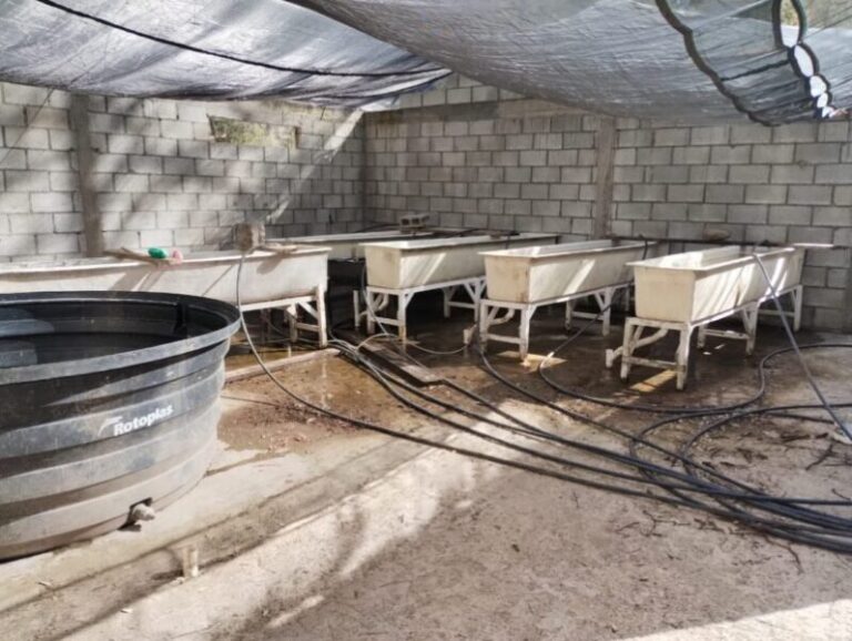 Estado destina más de 10 mdp a infraestructura acuícola y pesquera en Chihuahua