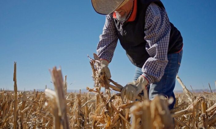 AGRICULTURA, CFE y Conagua integrarán padrón único de usuarios agrícolas