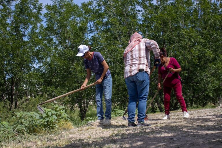 Destina Estado más de 20 millones de pesos al Programa de Ocupación Temporal