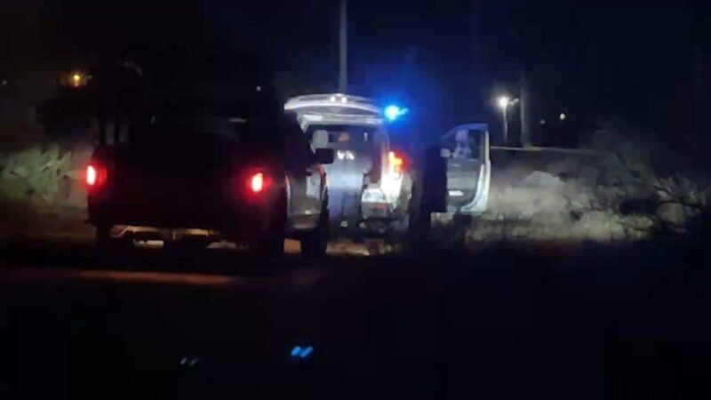 Más Chihuahua:  Encuentran cuerpo desmembrado de hombre de unos 40 años entre la maleza al borde de terracería