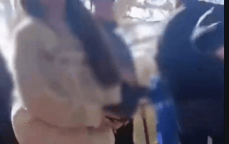 Estudiantes se agarran a golpes en la Técnica 32 de Chihuahua: riña termina con heridos y operativo policial