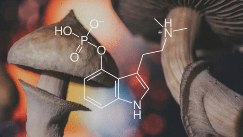 Neurólogo se somete a dosis alta de psilocibina y escanea su propio cerebro: revela cómo el psicodélico “desincroniza” y reorganiza redes neuronales