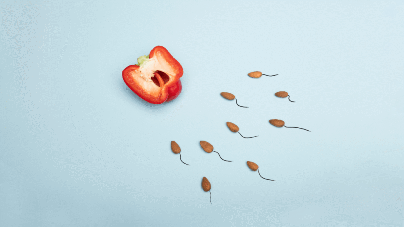 El esperma de los padres mayores estaría transmitiendo mutaciones genéticas a sus hijos