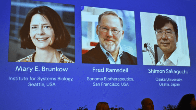 El Premio Nobel de Medicina 2025 y el descubrimiento que redefinió el sistema inmunitario