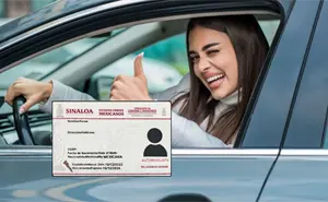 Licencia de conducir permanente en Sinaloa: cuánto costará y quiénes podrán tramitarla