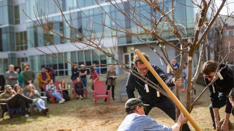 El Árbol de las 40 Frutas: la obra maestra de Sam Van Aken que produce 40 variedades diferentes