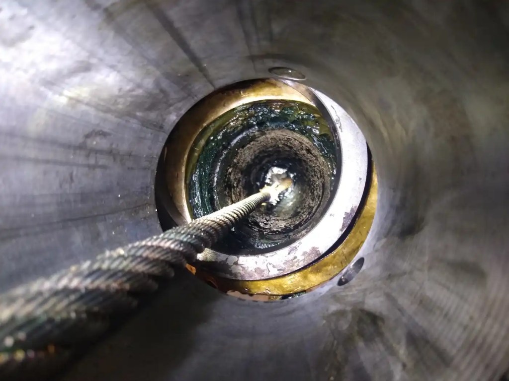 microorganismo - microorganismo