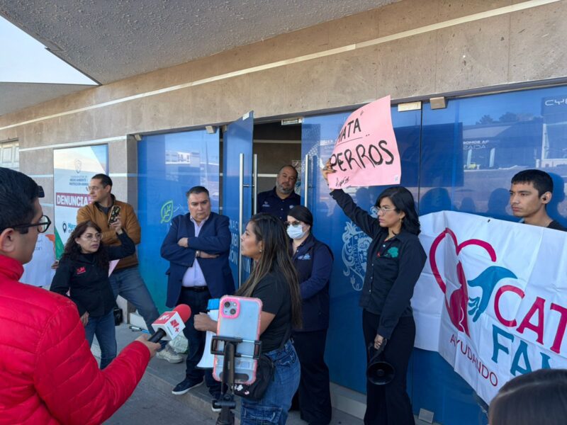 Ignora municipio manifestación y peticiones de animalistas