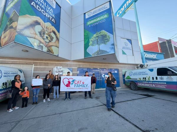 Noticias Chihuahua Pausa.MX Ignora municipio manifestación y peticiones de animalistas