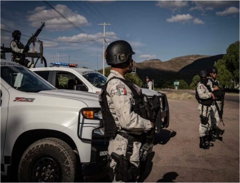 Operativos estatales dejan detenciones y aseguramientos en diversas regiones