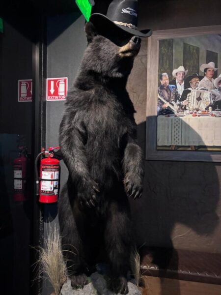 Noticias Chihuahua PAUSA.MX Cantina “Todos Santos”; lo que Chihuahua merece