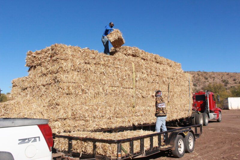 Benefician programas de la SDR a productores agropecuarios de la zona centro del estado