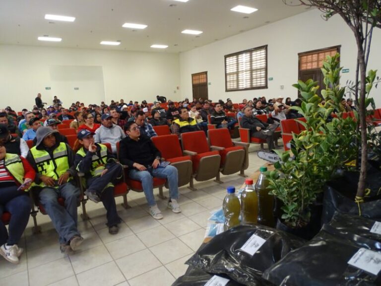 Mejoran el macizo arbolado en el estado