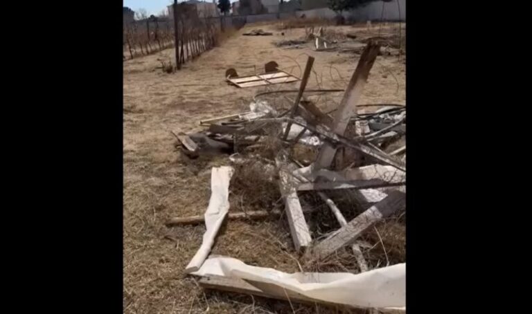 Exigen estudiantes de la UACH condiciones dignas