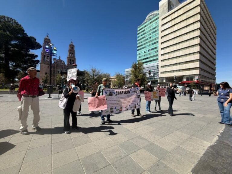 Exigen destitución de Rocío Reza de la Coordinación de Medio Ambiente y Protección Animal