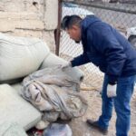 Refuerza Salud vigilancia epidemiológica contra la rickettsiosis