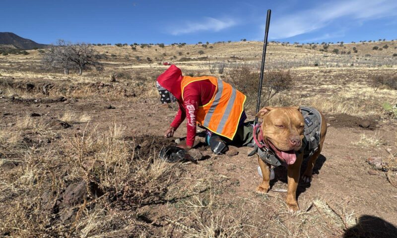 “Nila”, integrante de la Fuerza SICT, participa en supervisión ambiental en carretera Bavispe–Nuevo Casas Grandes