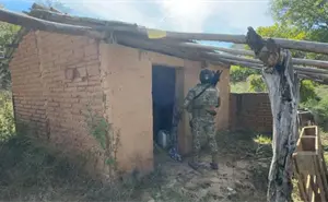 Golpe al crimen en Sinaloa: 50 detenidos, 79 autos recuperados y 45 armas aseguradas