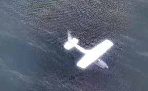 El vuelo que encendió las alertas en Oaxaca y terminó en un decomiso millonario