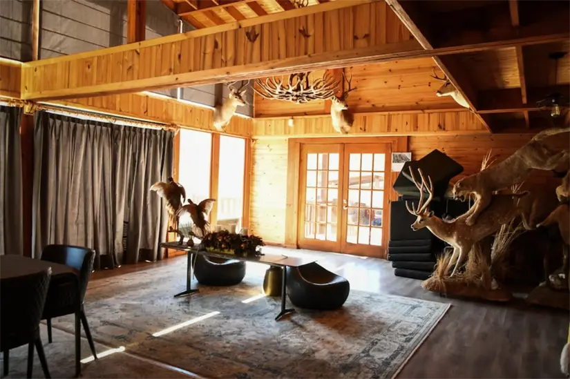 Animales exóticos vivos y disecados fueron encontrados en algunas de las propiedades. Foto: FGJEM