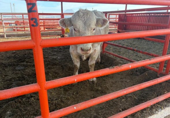 Lanzan México y EEUU campaña conjunta contra GBG