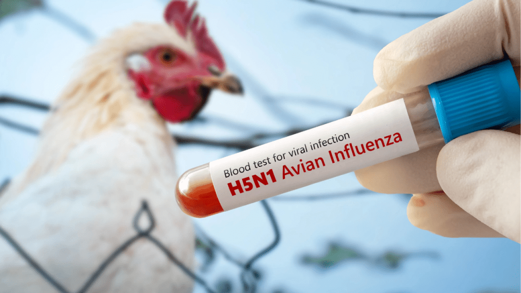 h5n1 - h5n1