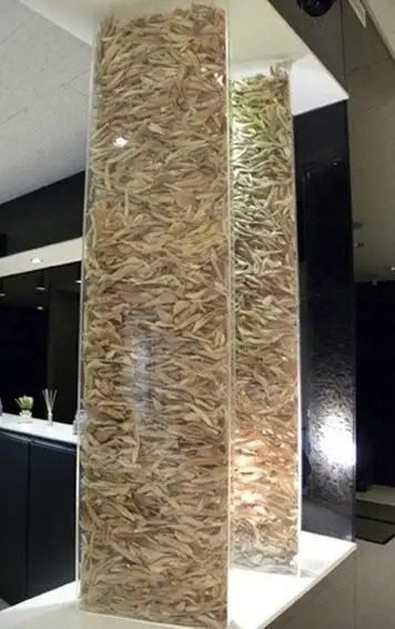 mandibulas - mandibulas