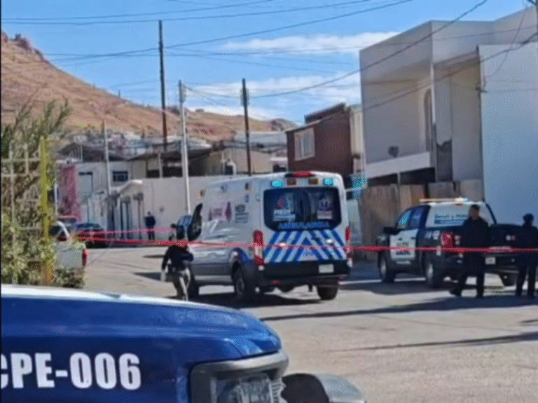 Pitbull ataca y mata a hombre  en su propia casa; versión apunta a caída accidental que desató la furia del animal