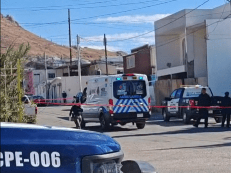 Pitbull ataca y mata a hombre  en su propia casa; versión apunta a caída accidental que desató la furia del animal