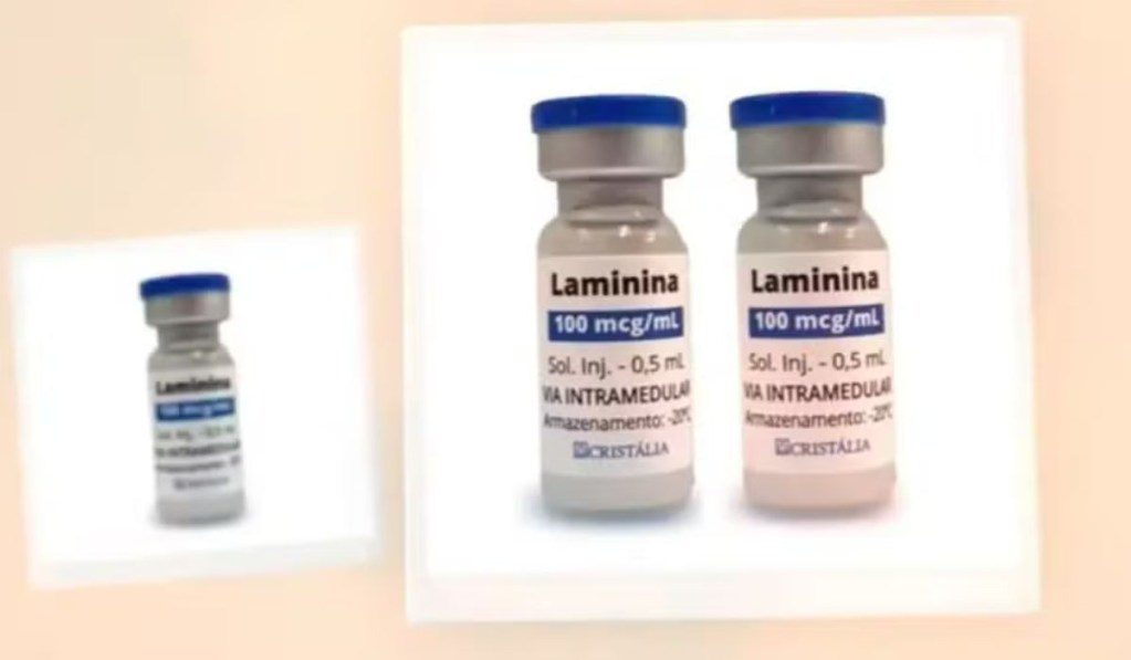 polilaminina - polilaminina