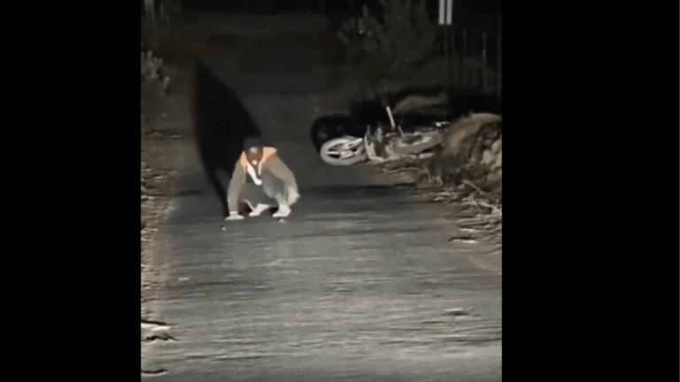 Hombre en Gujarat desarrolla síntomas de rabia 3 meses después de mordida de perro