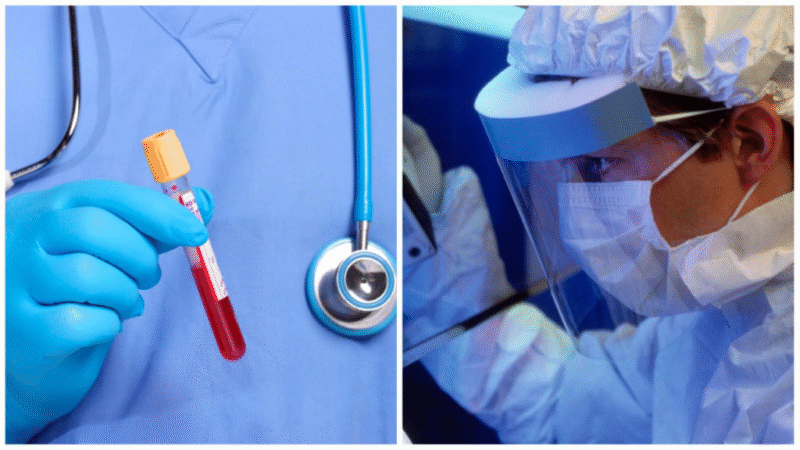 Ensayos humanos de la vacuna contra el virus Nipah comienzan en abril