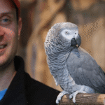 Einstein, el loro que habló con el mundo y dejó un legado inolvidable