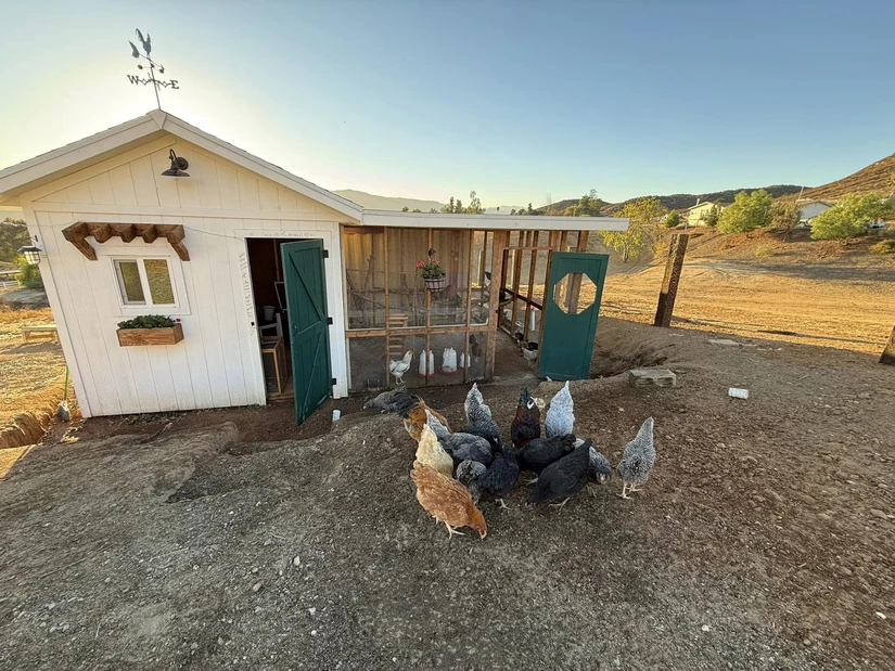 El rancho está todavía en construcción. Foto: Cortesía