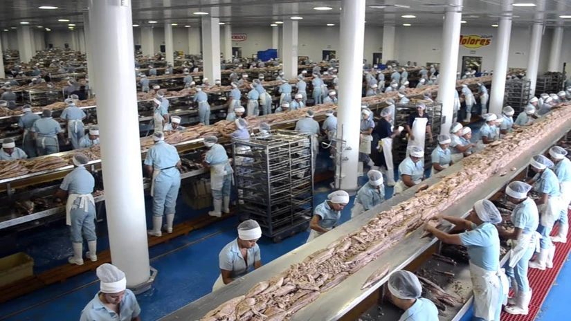 La compañía empezó de a poco. Foto: Cortesía