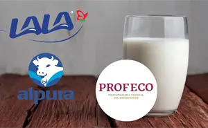 ¿Lala o Alpura? Profeco revela cuál es la mejor leche del mercado