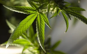 Caen dos por extorsión en mercado de Mazatlán