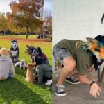 ¿Qué son los therian? La tendencia viral en redes sociales