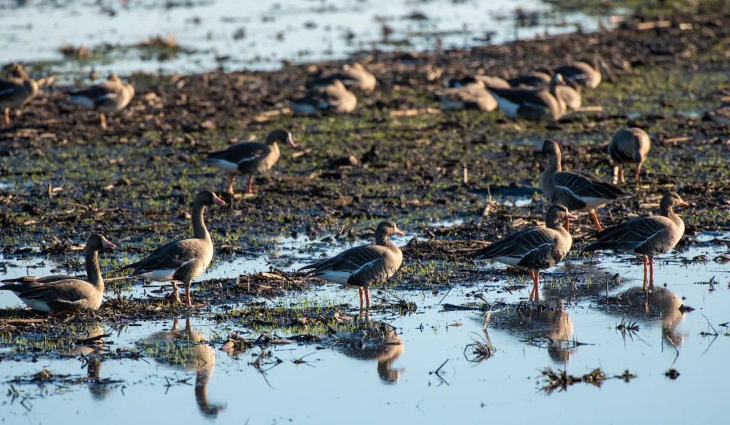 agricultores - agricultores