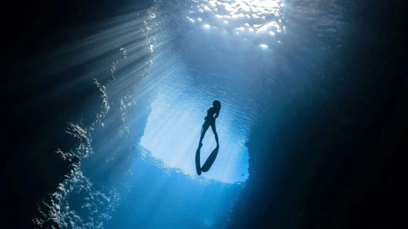 Descubren 24 nuevas especies en las profundidades del océano, incluyendo una rama evolutiva desconocida